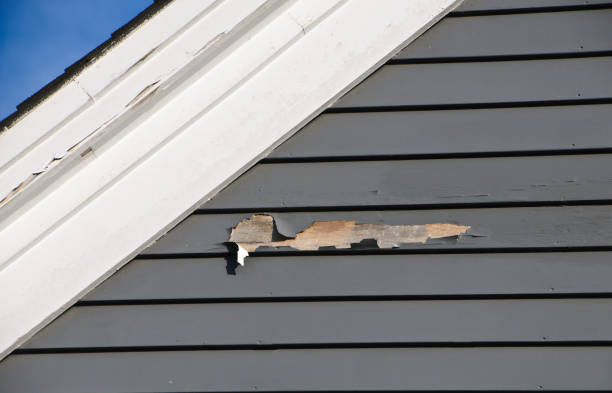 Best Storm Damage Siding Repair  in Los Molinos, CA